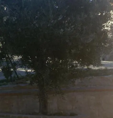 Villalta ファームステイ *