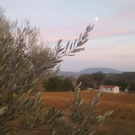 Villalta * Ponte Felcino