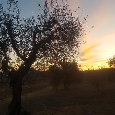 Villalta Κατάλυμα σε φάρμα *